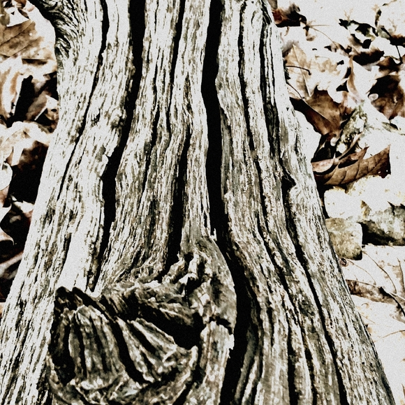 ☆》🔆Welcome to My Closet🔆《☆ - Picture 11 of 13